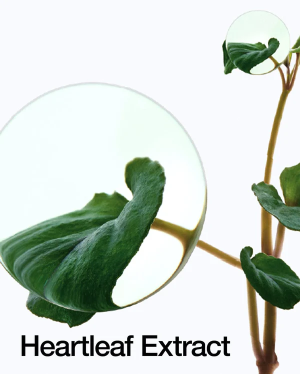 ANUA Heartleaf Trial Kit - 4 pzs - Imagen 4