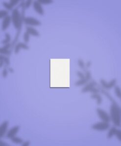 STALEKS Expert 51 Mini Buffer Rectangular 100/180 - 50 piezas