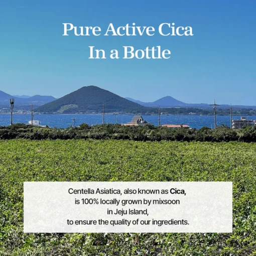 MIXSOON Centella Asiatica Essence - 20ml - Mini Talla - Imagen 3