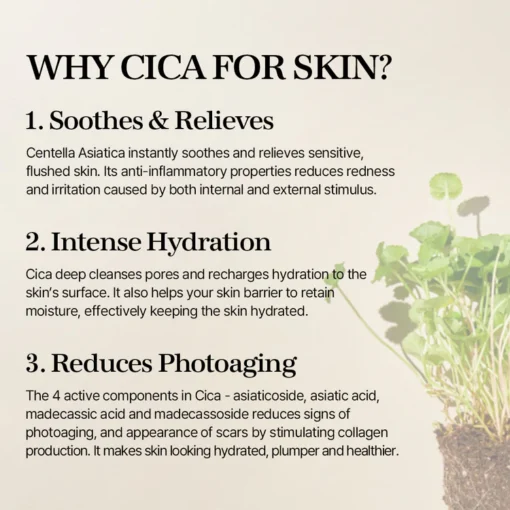 MIXSOON Centella Asiatica Essence - 20ml - Mini Talla - Imagen 2