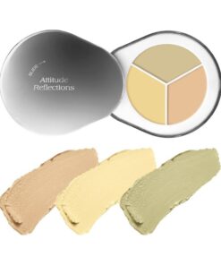 DR.ALTHEA - DEAR.A Perfect Cover Concealer Palette – Correctores +esponja #C02