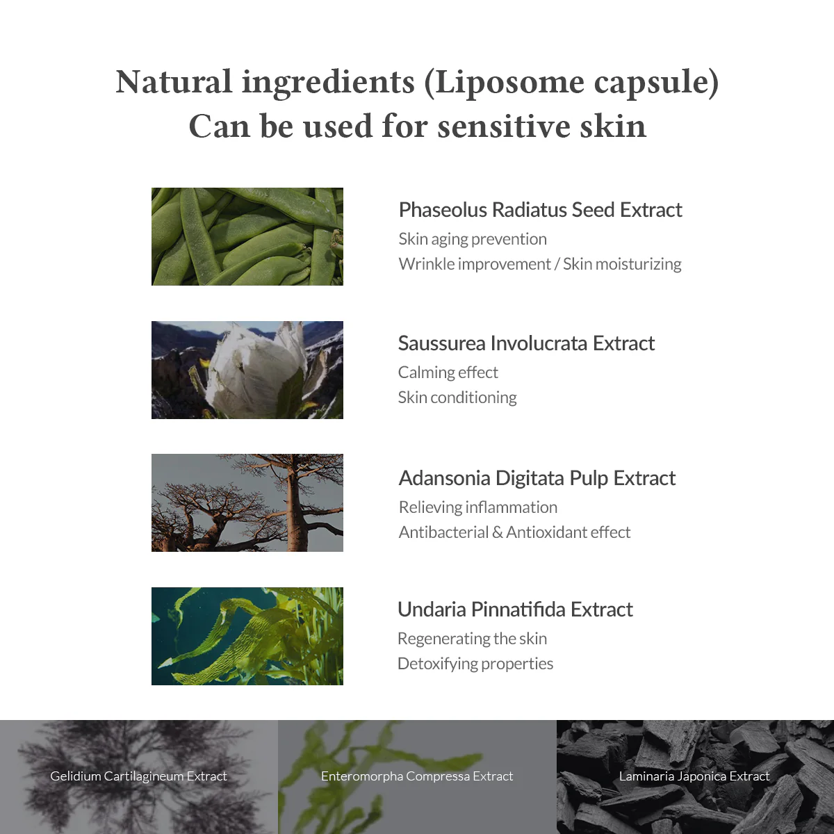 DR.ALTHEA - Quick Step Sebum Cleanser - Ablandador y Removedor de Puntos negros - 100ml - Imagen 7