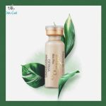 DM.CELL BB GLOW AMPOLLA #21 - 5 ML