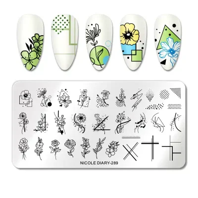 nicole-diaria-placa-289